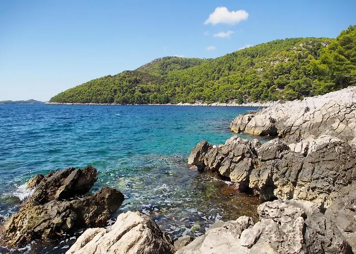 Seaside House Brna, Korcula - 11038 Vakantiehuis Smokvica (Korcula)