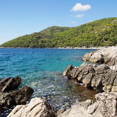 Seaside House Brna, Korcula - 11038 بيت للعطل Smokvica (Korcula)